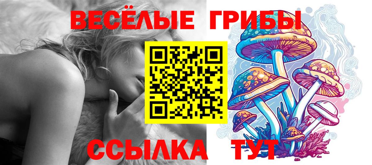 Нижний Новгород  Галлюциногенные грибы мицелий  Вход с VPN 